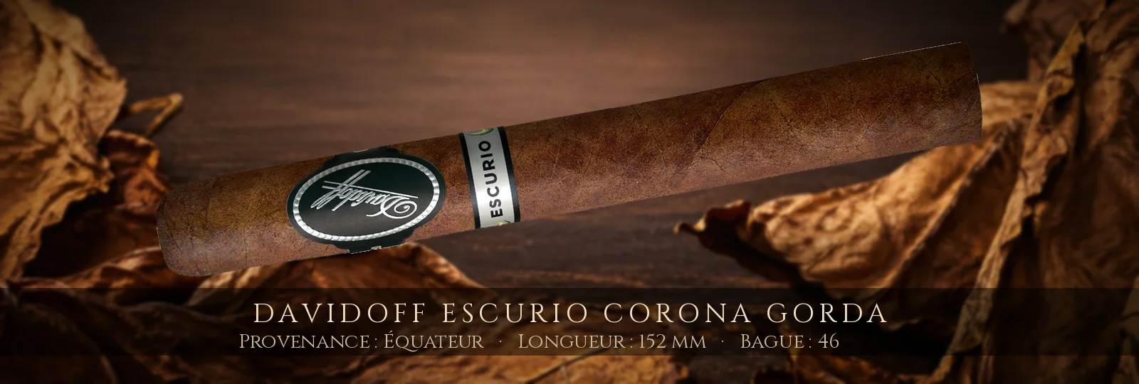 Davidoff Escurio Corona Gorda — Davidoff — Équateur