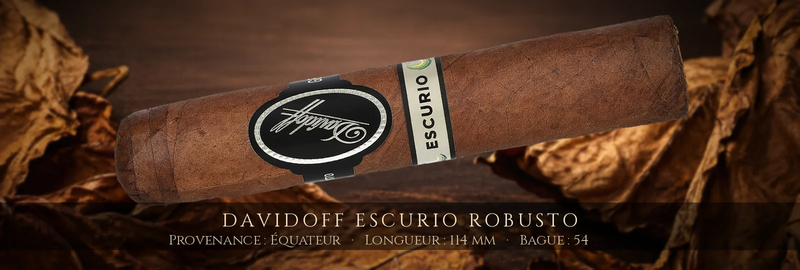 Davidoff Escurio Robusto — Davidoff — Équateur
