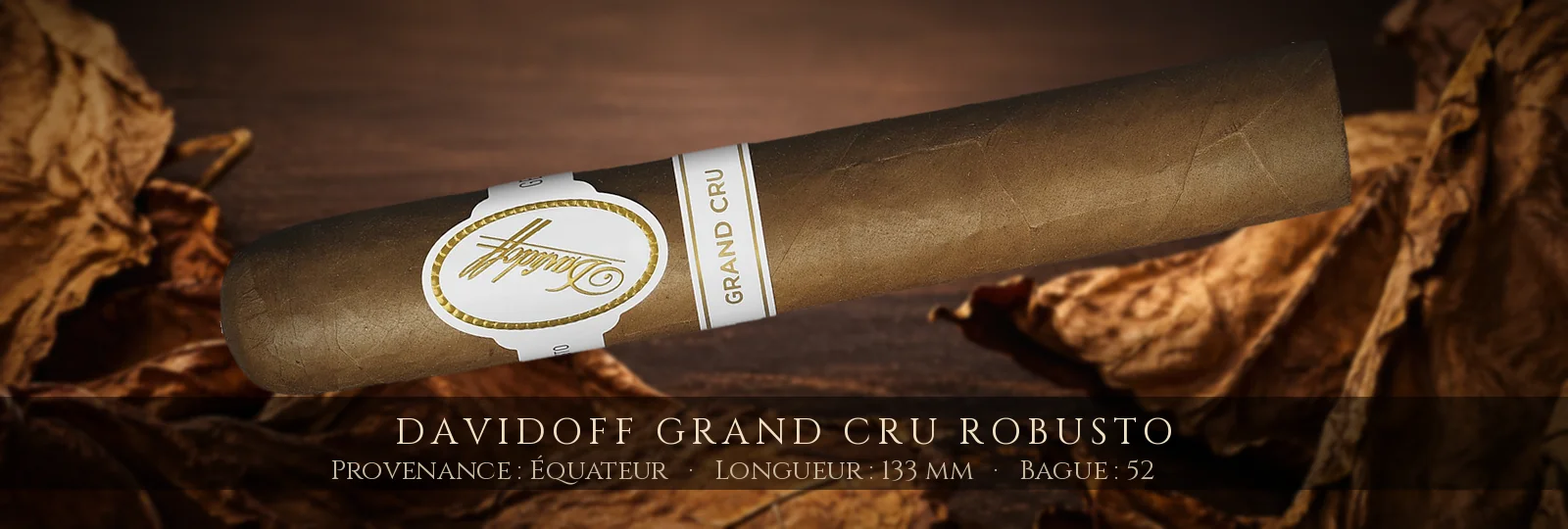 Davidoff Grand Cru Robusto — Davidoff — Équateur