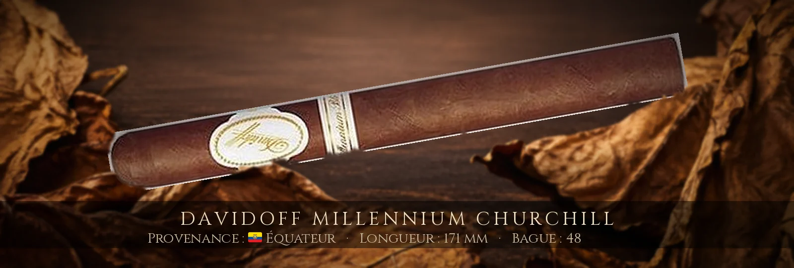 Davidoff Millennium Churchill — Davidoff — Équateur