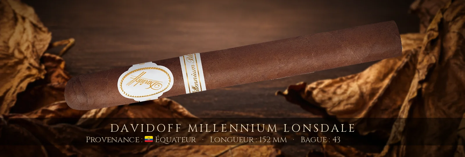 Davidoff Millennium Lonsdale — Davidoff — Équateur