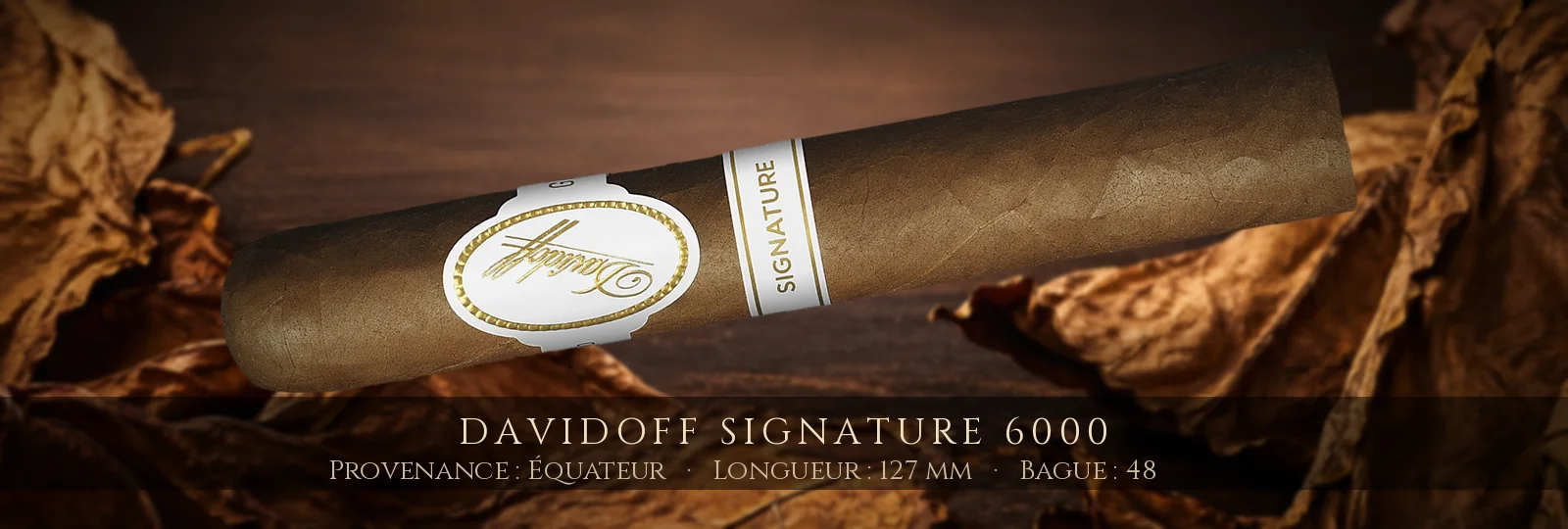 Davidoff Signature 6000 — Davidoff — Équateur