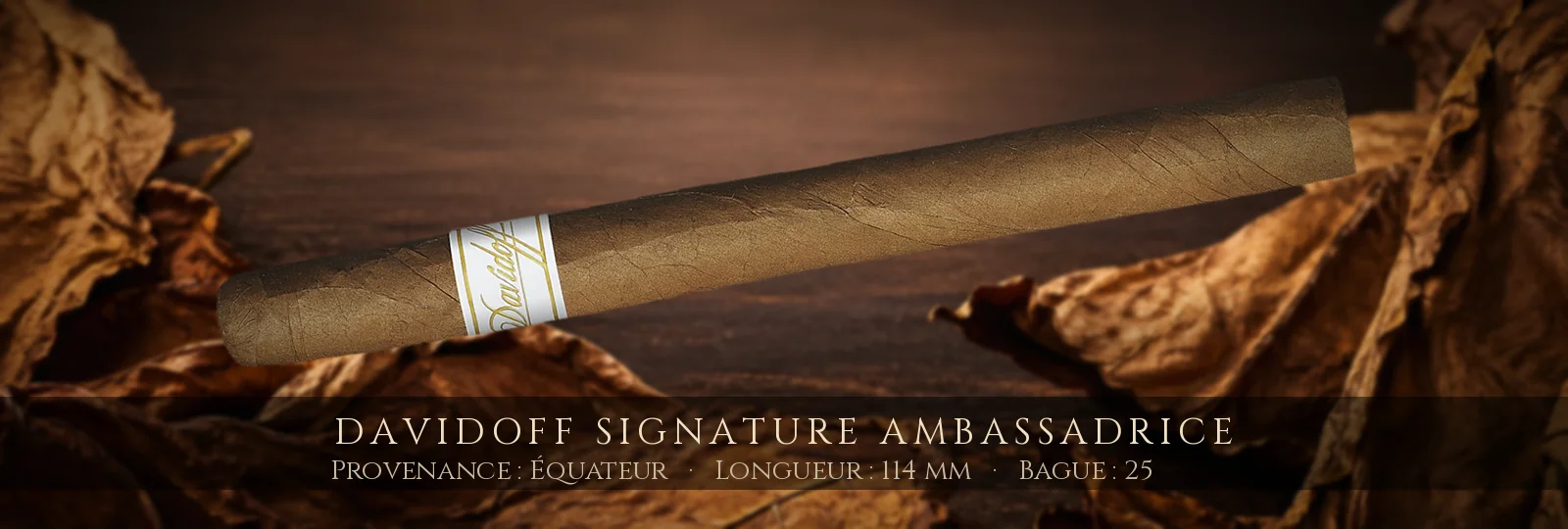 Davidoff Signature Ambassadrice — Davidoff — Équateur