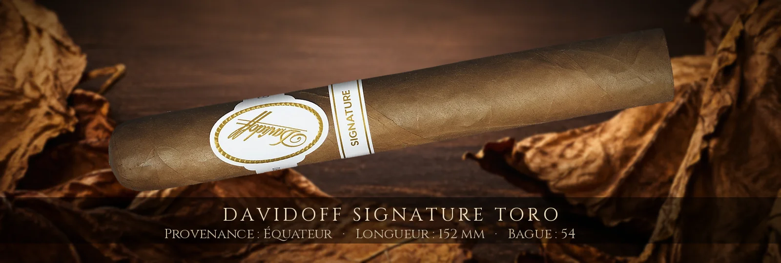Davidoff Signature Toro — Davidoff — Équateur