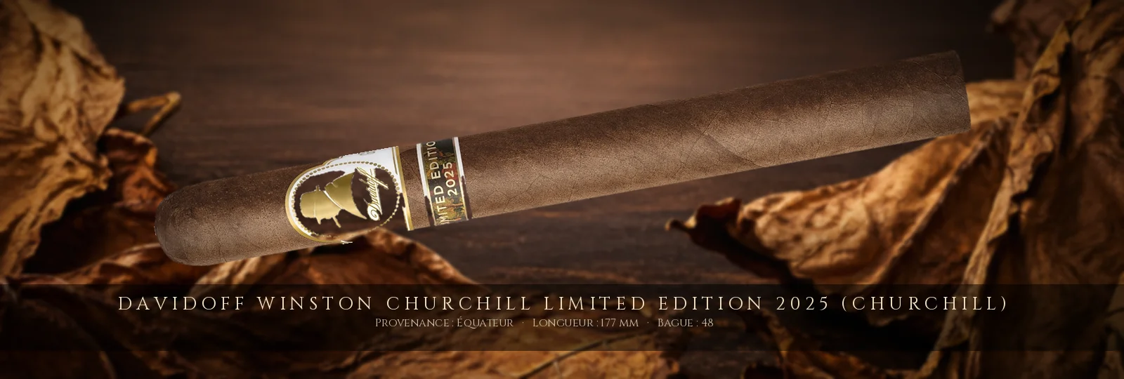 Davidoff Winston Churchill Limited Edition 2025 (Churchill) — Davidoff — Équateur