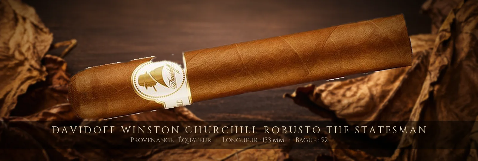 Davidoff Winston Churchill Robusto The Statesman — Davidoff — Équateur