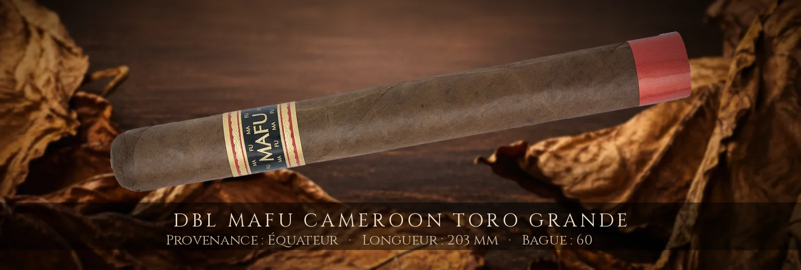 DBL Mafu Cameroon Toro Grande — DBL — Équateur
