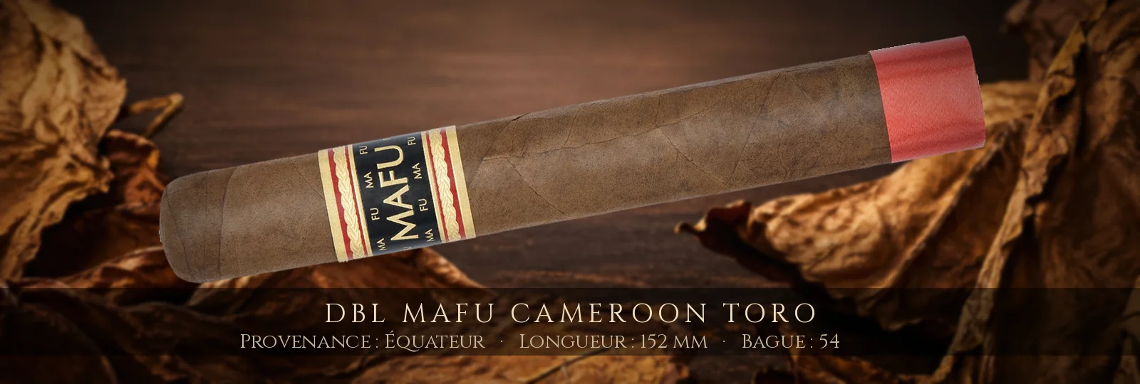 DBL Mafu Cameroon Toro — DBL — Équateur