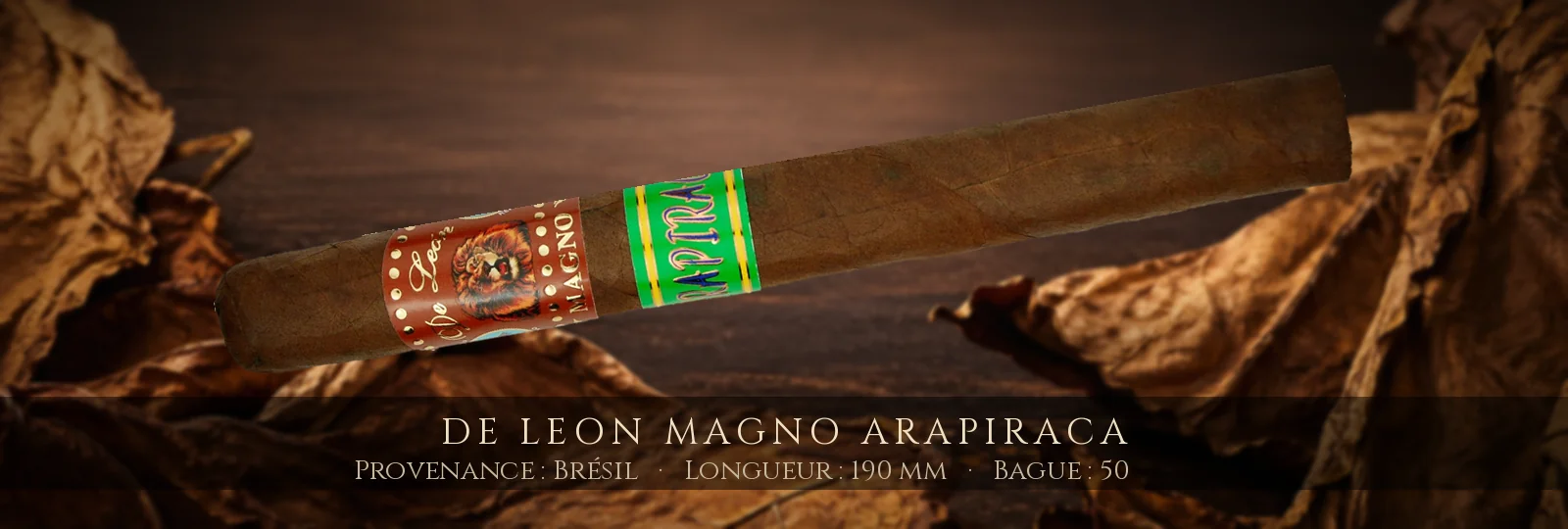De Leon Magno Arapiraca — De Leon — Brésil