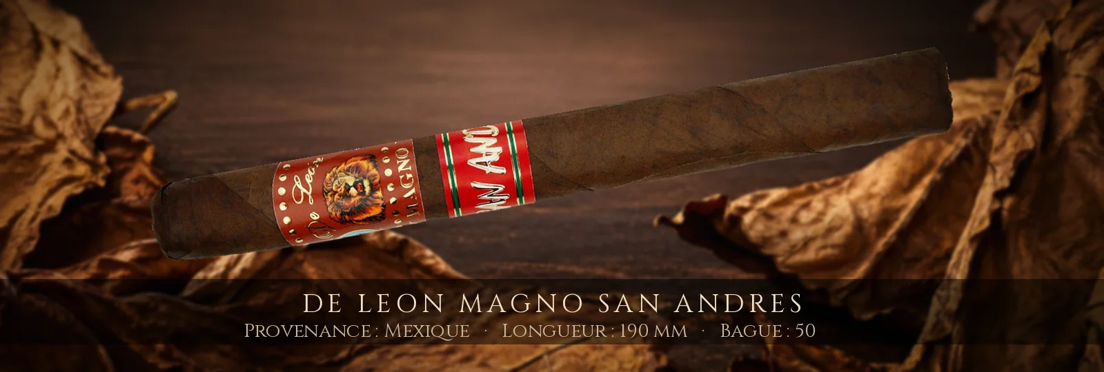 De Leon Magno San Andres — De Leon — Mexique