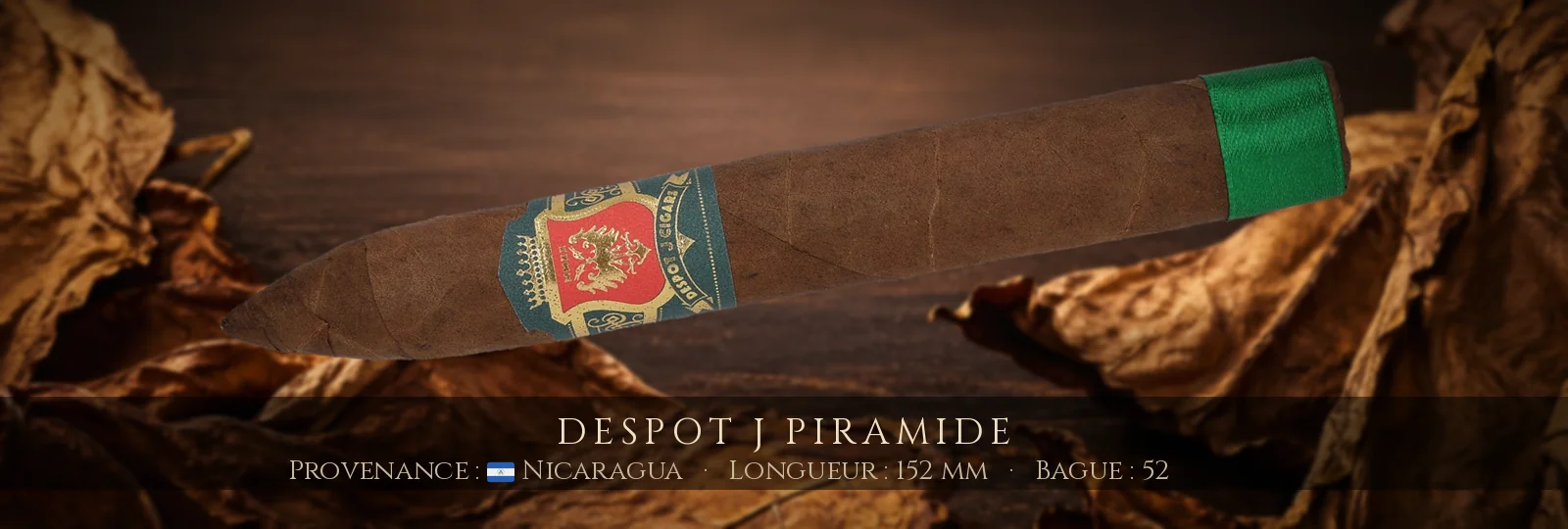 Despot J Piramide — Despot — Nicaragua