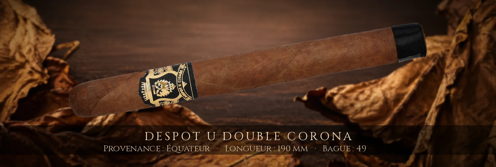 Despot U Double Corona — Despot — Équateur