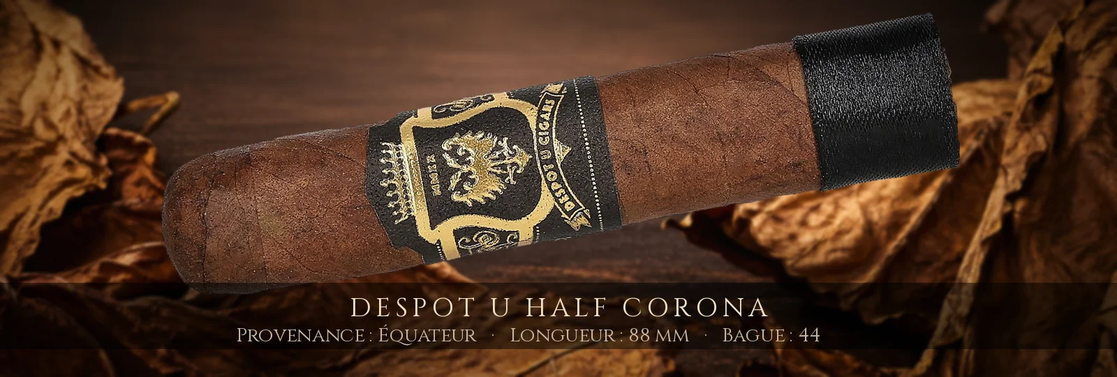 Despot U Half Corona — Despot — Équateur