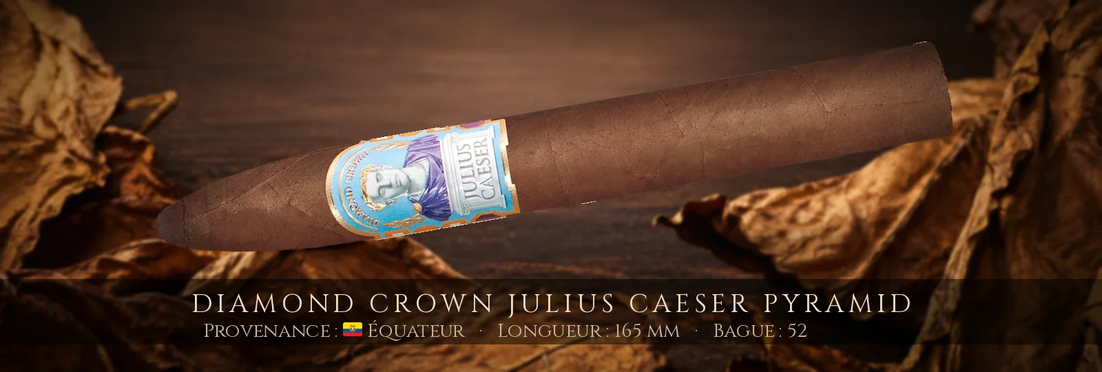 Diamond Crown Julius Caeser Pyramid — Diamond Crown — Équateur