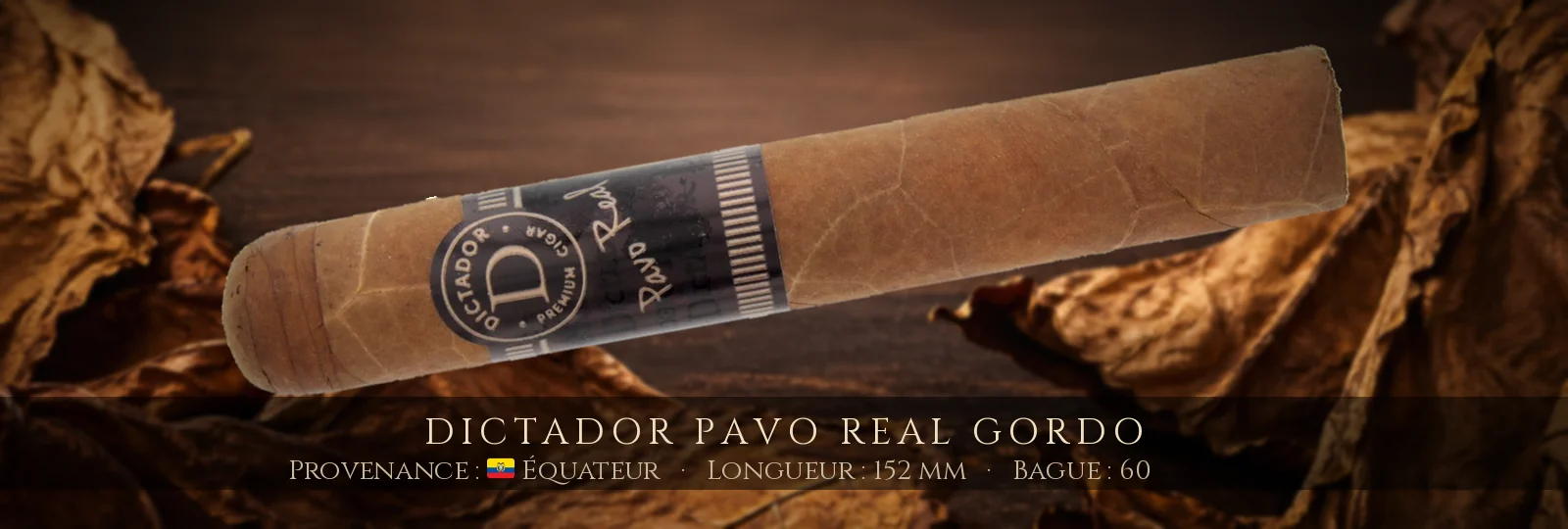 Dictador Pavo Real Gordo — Dictador — Équateur