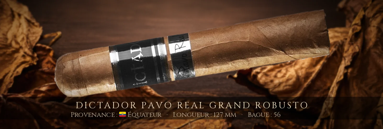 Dictador Pavo Real Grand Robusto — Dictador — Équateur