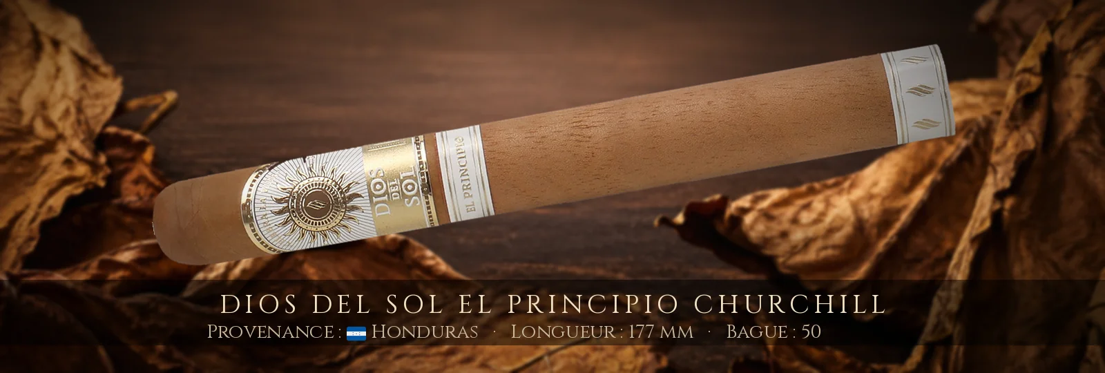 Dios del Sol El Principio Churchill — Dios del Sol — Honduras