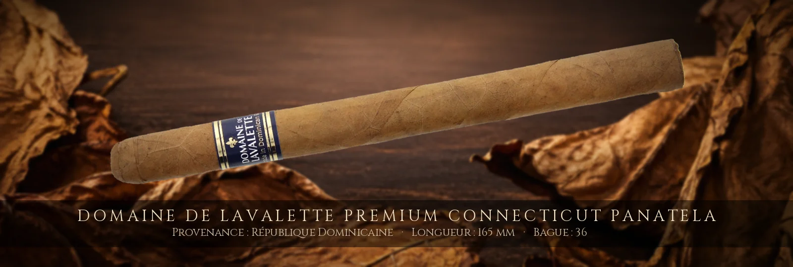 Domaine de Lavalette Premium Connecticut Panatela — Domaine de Lavalette — République Dominicaine