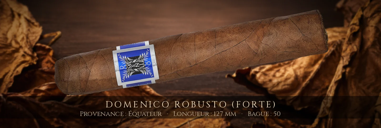 Domenico Robusto (Forte) — Domenico — Équateur