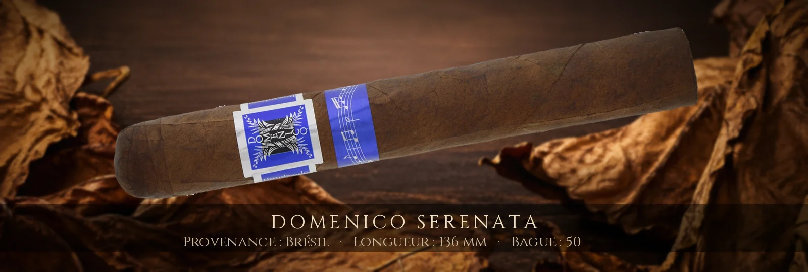 Domenico Serenata — Domenico — Brésil