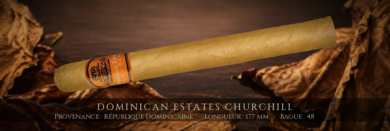 Dominican Estates Churchill