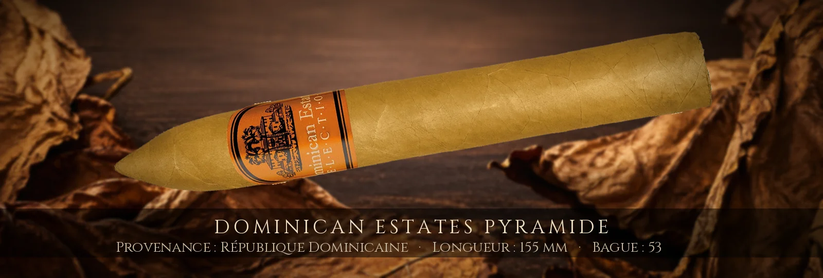 Dominican Estates Pyramide — Dominican Estates — République Dominicaine