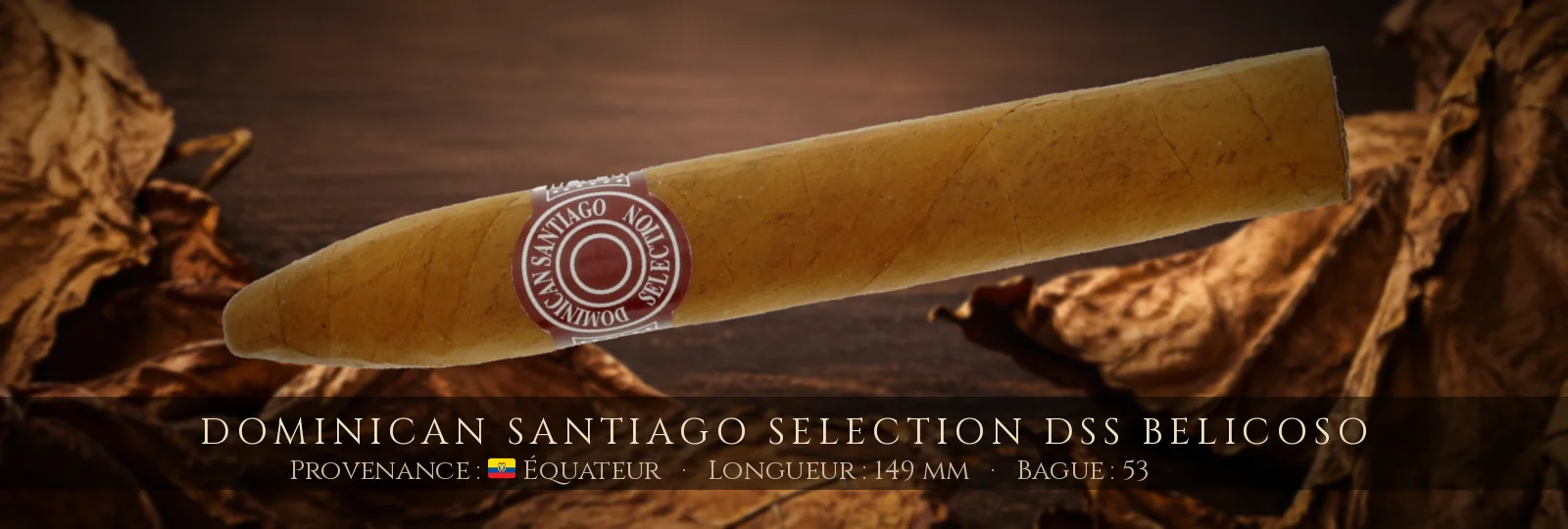 Dominican Santiago Selection DSS Belicoso — Dominican Santiago Selection — Équateur