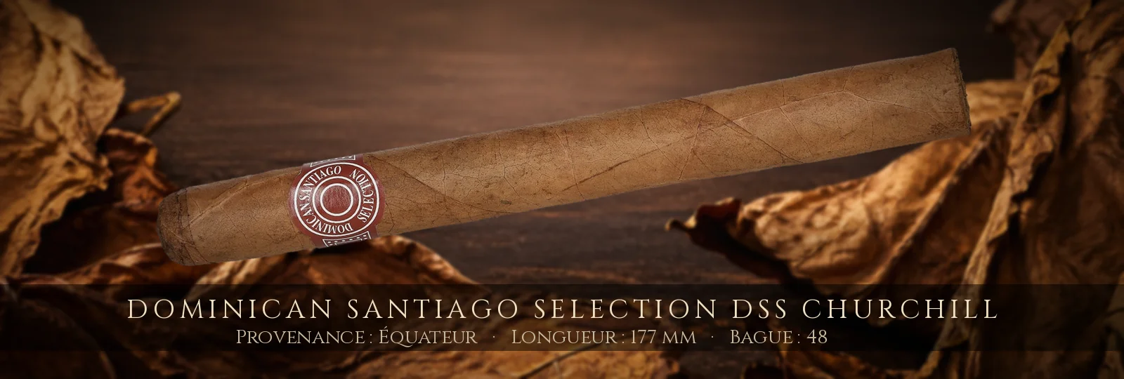 Dominican Santiago Selection DSS Churchill — Dominican Santiago Selection — Équateur