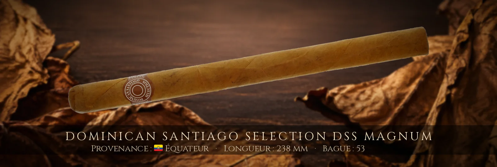 Dominican Santiago Selection DSS Magnum — Dominican Santiago Selection — Équateur