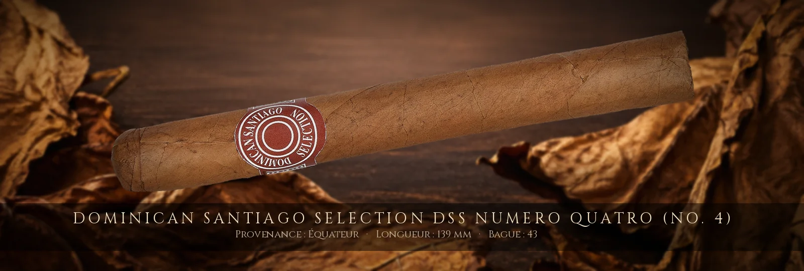 Dominican Santiago Selection DSS Numero Quatro (No. 4) — Dominican Santiago Selection — Équateur