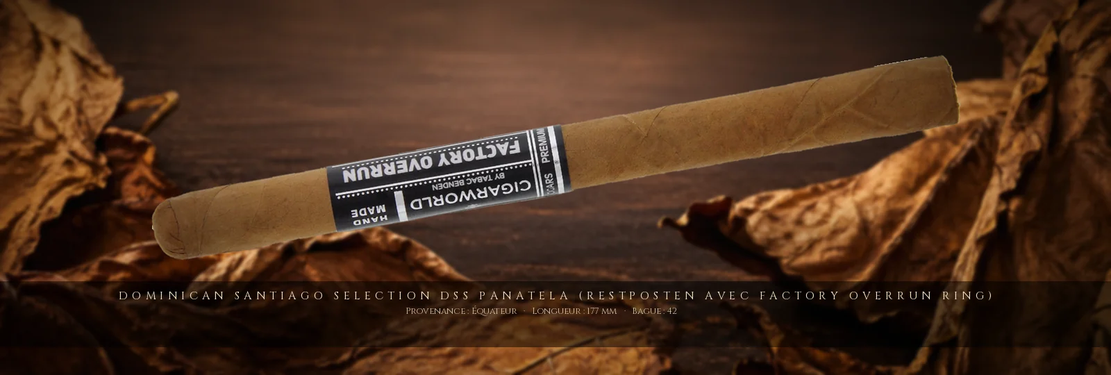 Dominican Santiago Selection DSS Panatela (Restposten avec Factory Overrun Ring) — Dominican Santiago Selection — Équateur