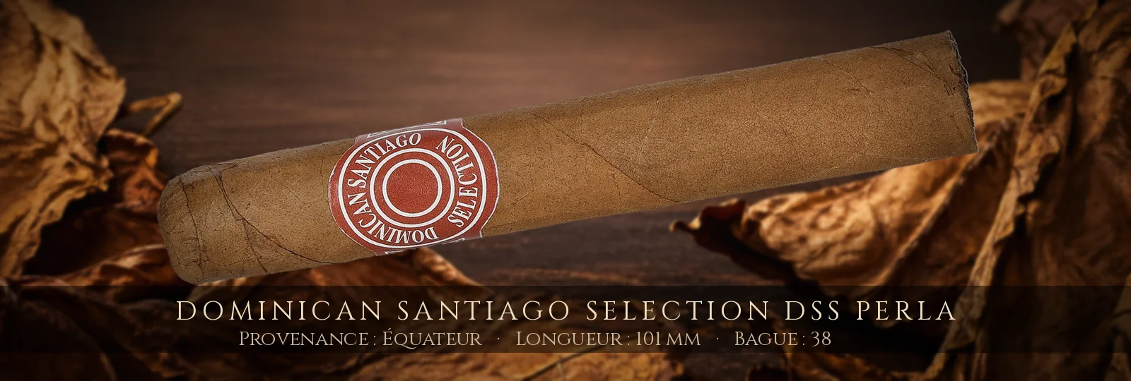 Dominican Santiago Selection DSS Perla — Dominican Santiago Selection — Équateur