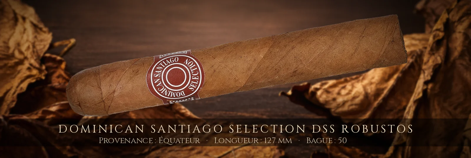 Dominican Santiago Selection DSS Robustos — Dominican Santiago Selection — Équateur