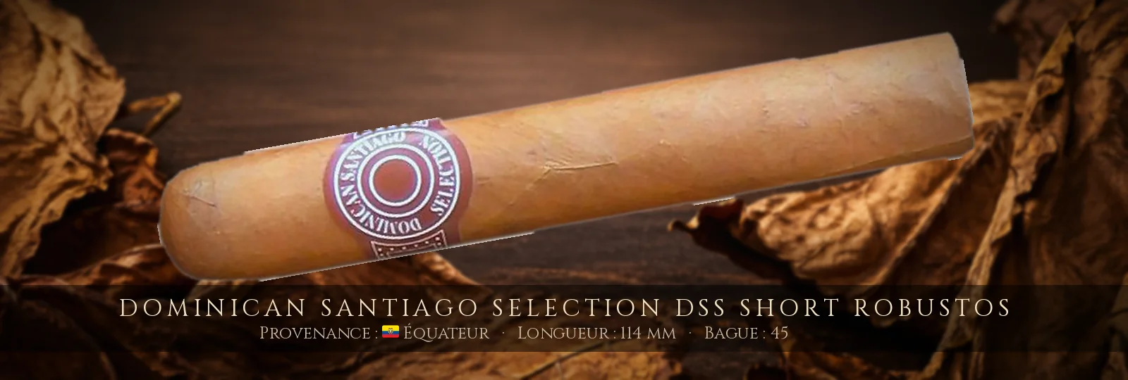 Dominican Santiago Selection DSS Short Robustos — Dominican Santiago Selection — Équateur