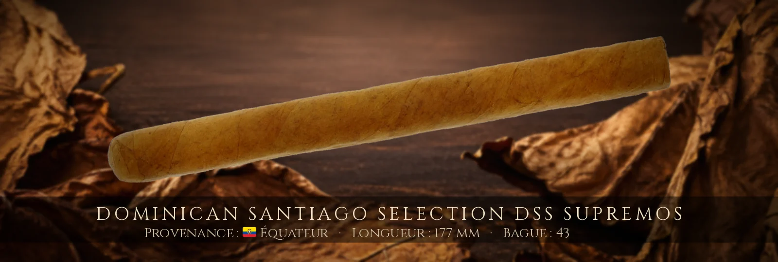 Dominican Santiago Selection DSS Supremos — Dominican Santiago Selection — Équateur