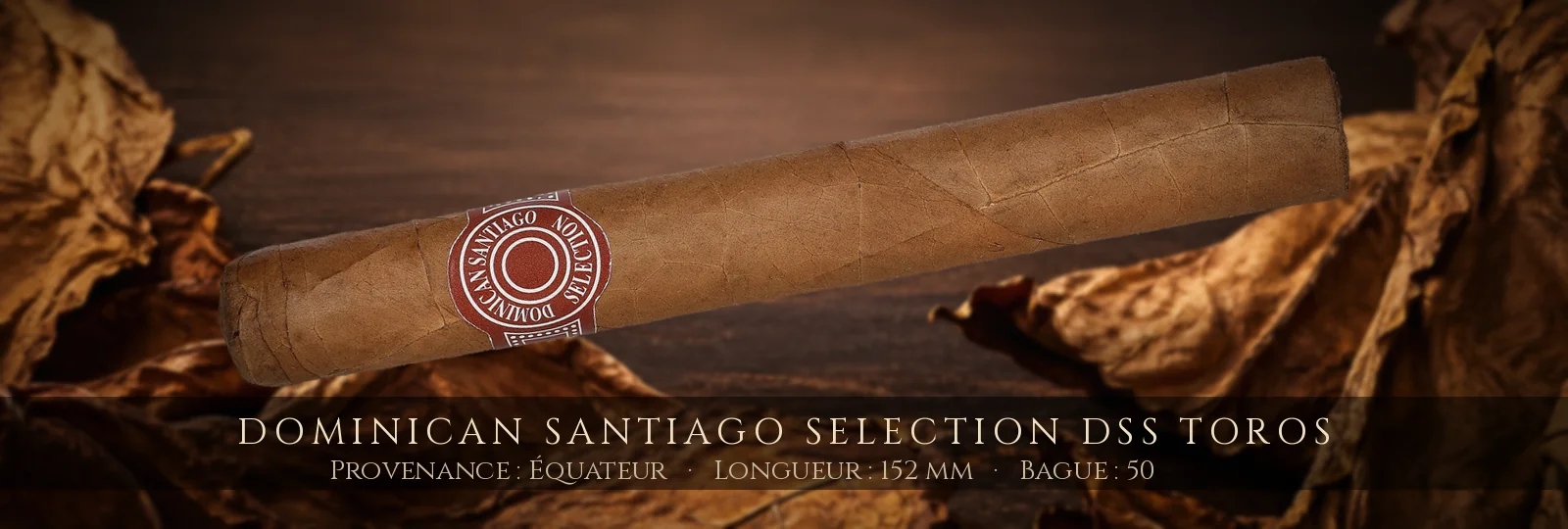 Dominican Santiago Selection DSS Toros — Dominican Santiago Selection — Équateur