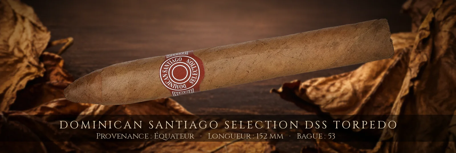 Dominican Santiago Selection DSS Torpedo
