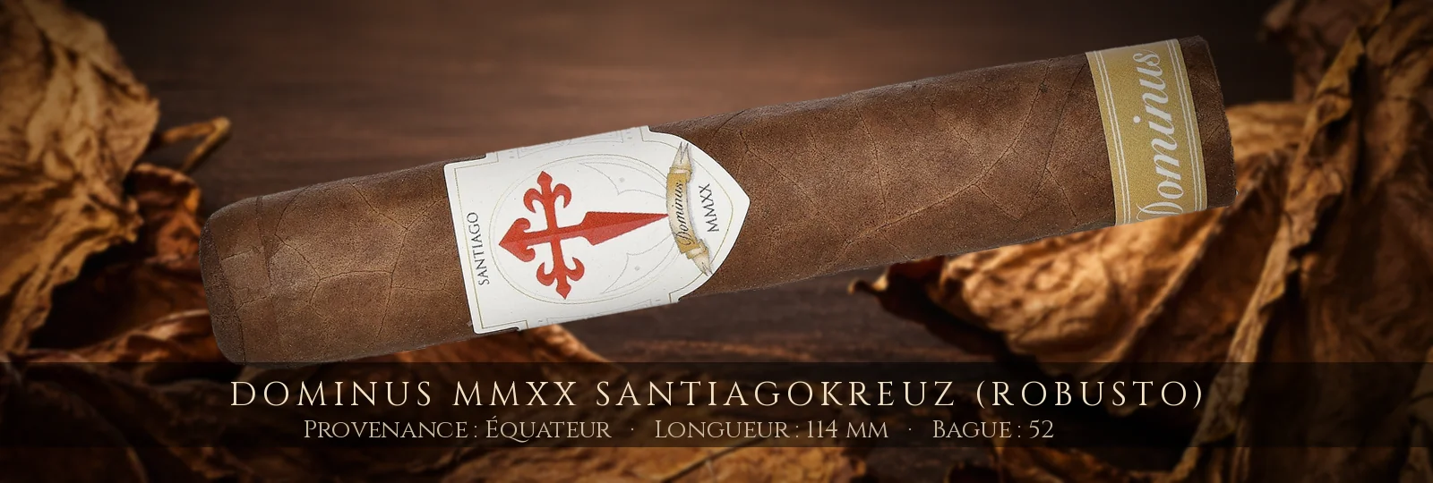 Dominus MMXX Santiagokreuz (Robusto) — Dominus — Équateur