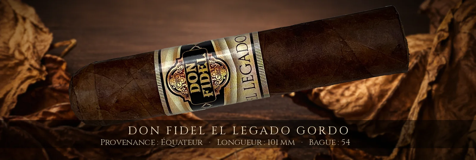 Don Fidel El Legado Gordo — Don Fidel — Équateur