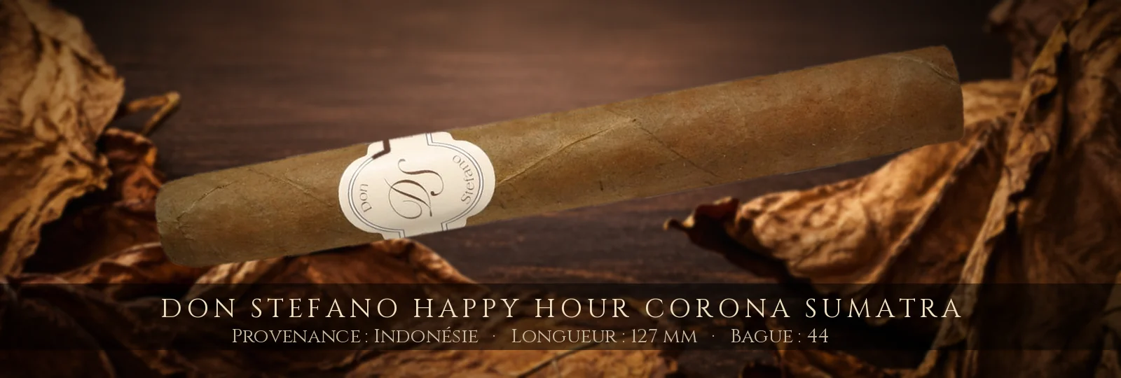 Don Stefano Happy Hour Corona Sumatra — Don Stefano — Indonésie