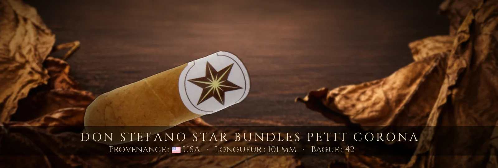 Don Stefano Star Bundles Petit Corona — Don Stefano — USA
