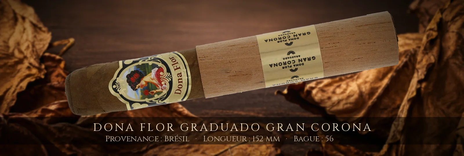Dona Flor Graduado Gran Corona — Dona Flor — Brésil