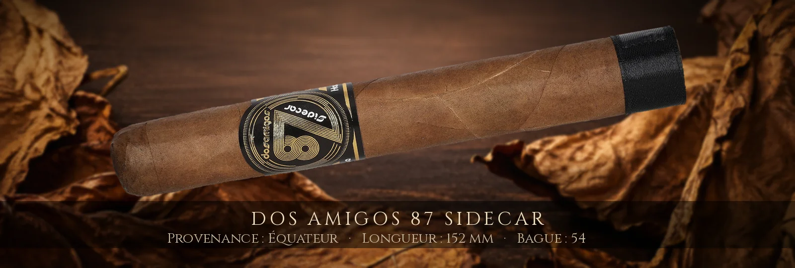 Dos Amigos 87 Sidecar — Dos Amigos — Équateur