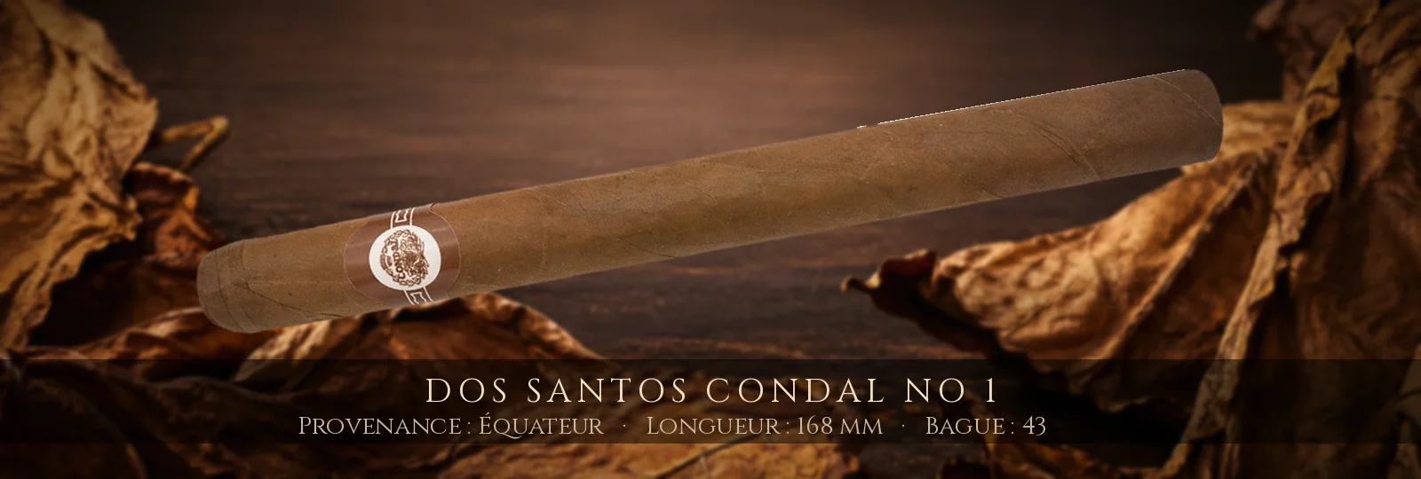 Dos Santos Condal No 1 — Dos Santos — Équateur
