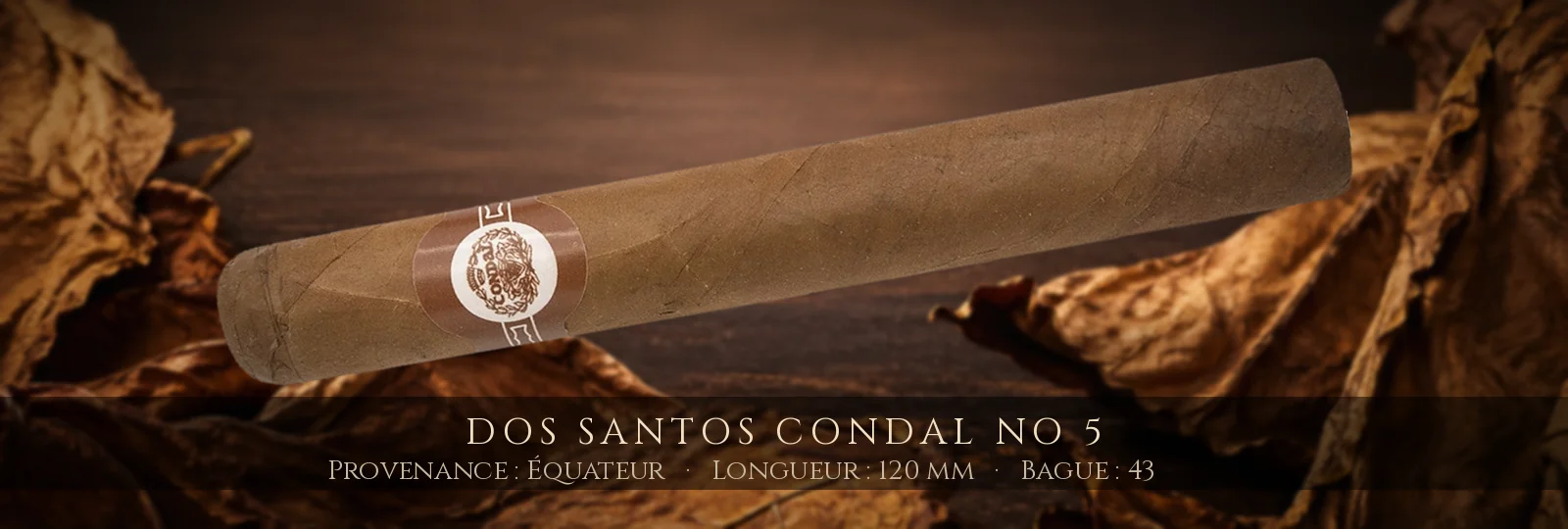 Dos Santos Condal No 5 — Dos Santos — Équateur