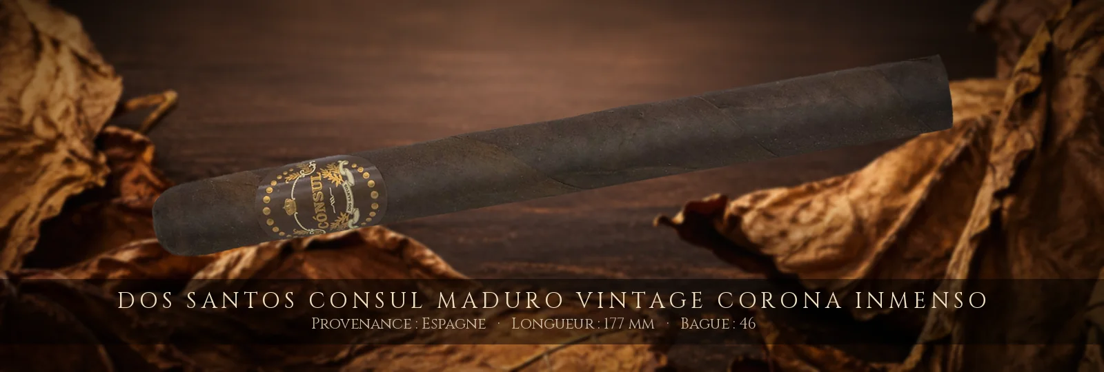 Dos Santos Consul Maduro Vintage Corona Inmenso — Dos Santos — Espagne