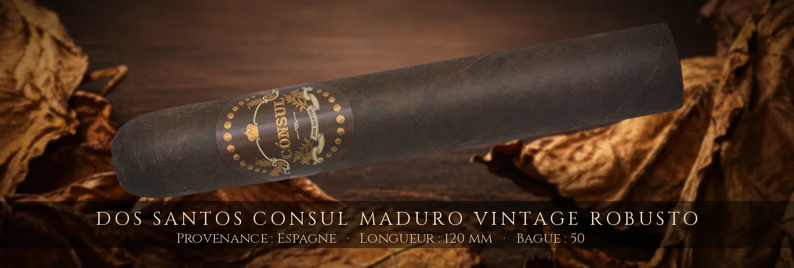Dos Santos Consul Maduro Vintage Robusto — Dos Santos — Espagne