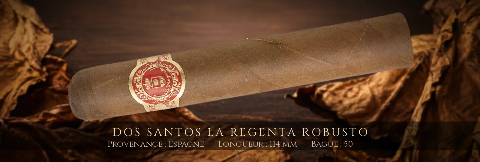 Dos Santos La Regenta Robusto — Dos Santos — Espagne