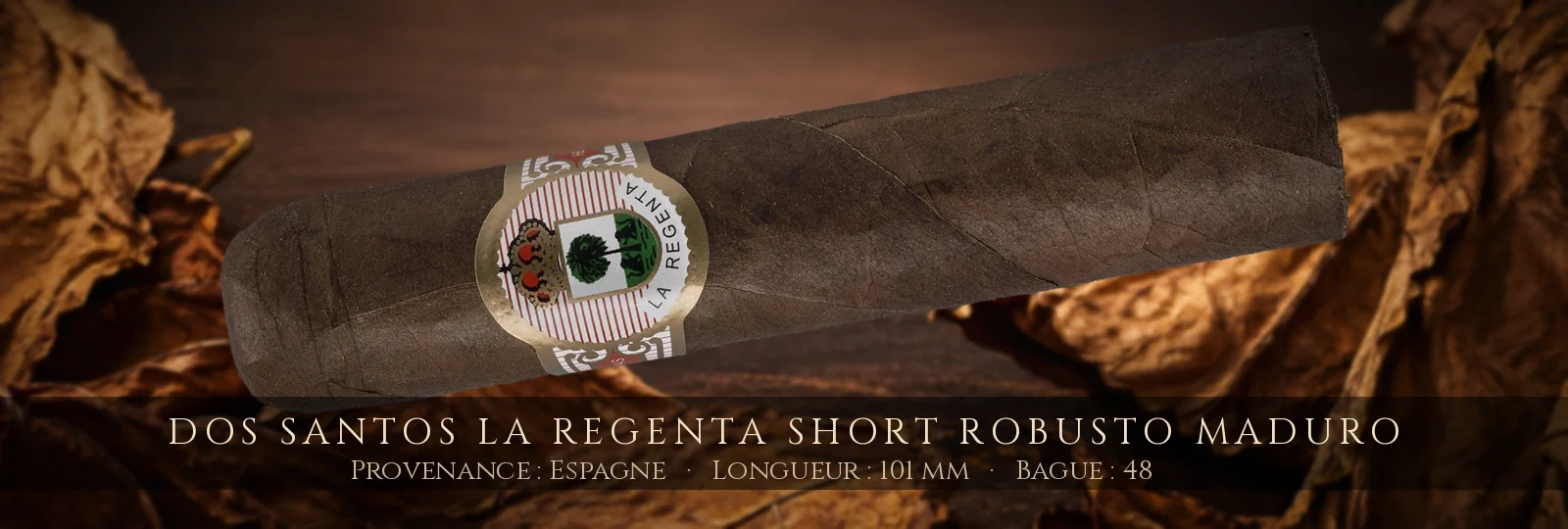 Dos Santos La Regenta Short Robusto Maduro — Dos Santos — Espagne
