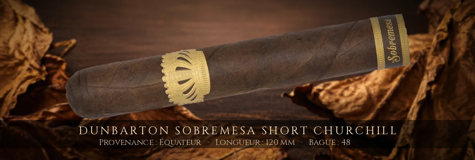 Dunbarton Sobremesa Short Churchill — Dunbarton — Équateur